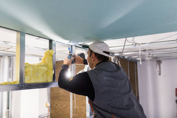 Best Insulation Repair Services  in Chatsworth, IL