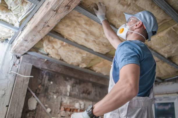 Best Wall Insulation Contractor  in Chatsworth, IL