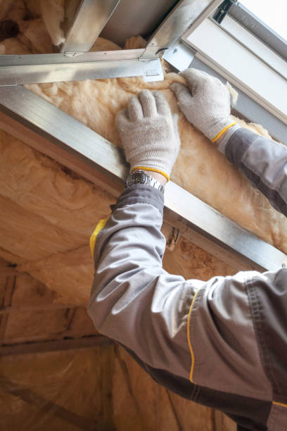 Best Spray Foam Insulation  in Chatsworth, IL