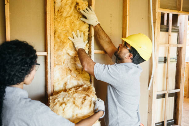 Best Crawl Space Insulation  in Chatsworth, IL